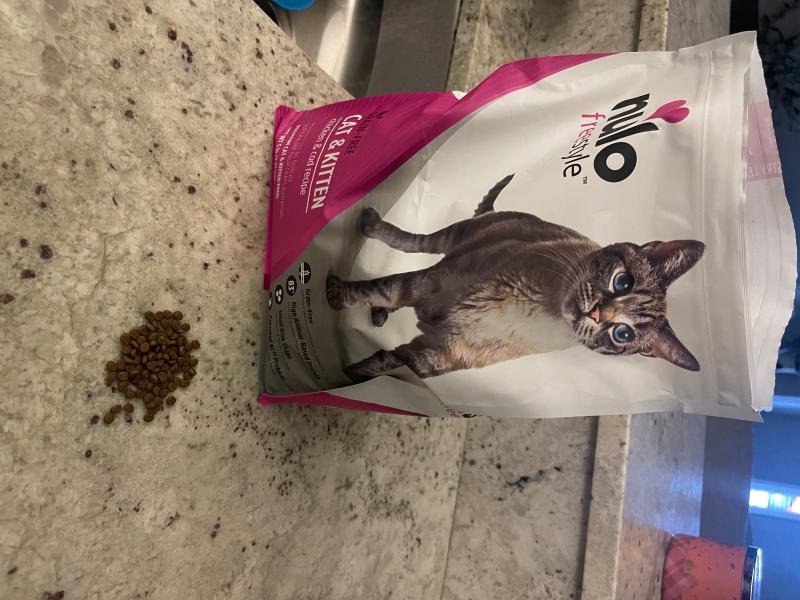 Nulo cat and kitten food best sale