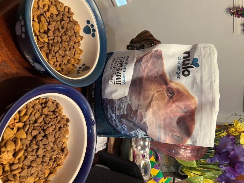 Challenger High-Protein Kibble Northern Catch Haddock, Salmon