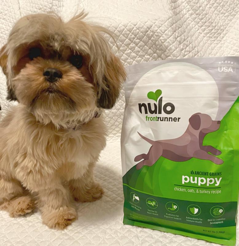 Nulo puppy best sale food serving size