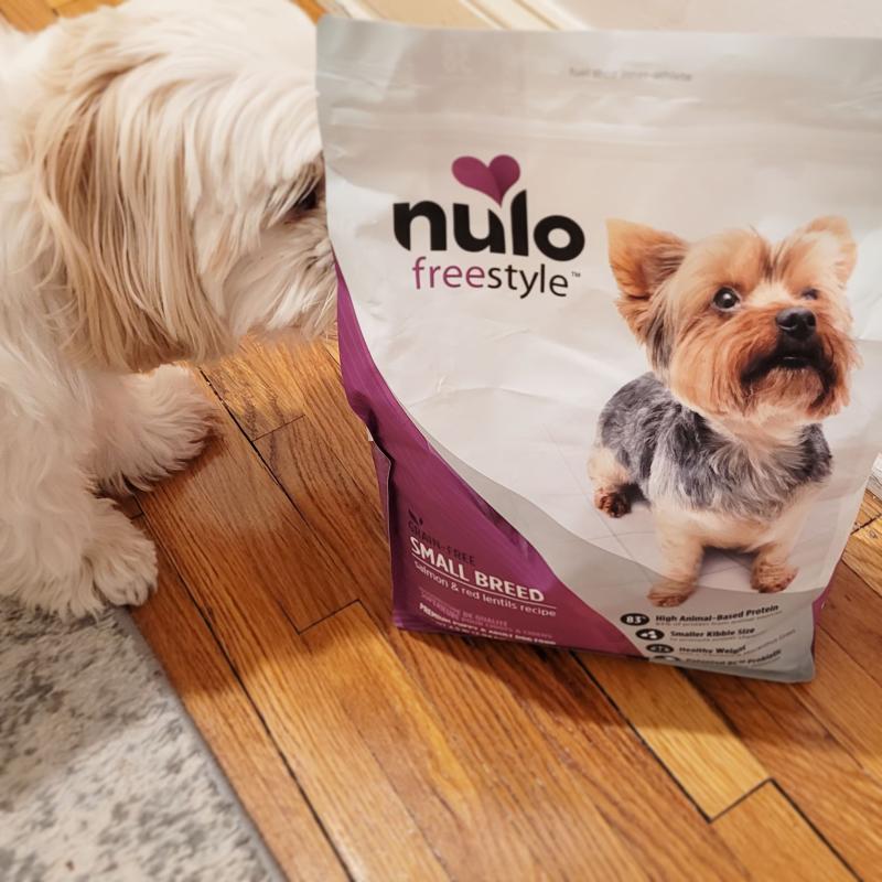 FreeStyle High Protein Kibble For Small Breeds Salmon Red Lentils Recipe Nulo