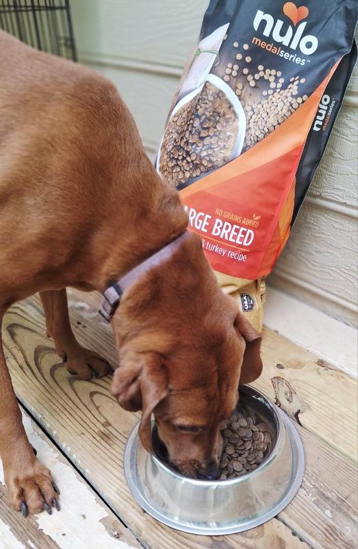 MedalSeries Baked Coated Large Breed Whitefish, Chicken Turkey