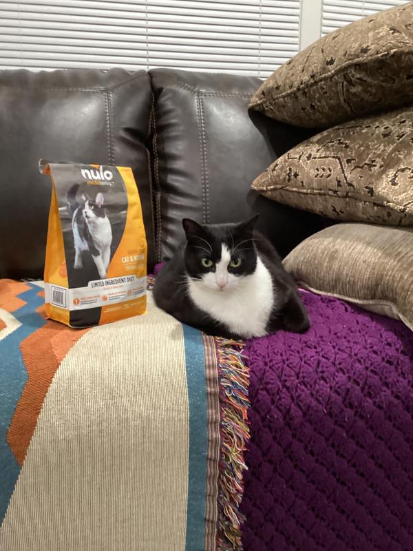 Tuxy new food Smiles