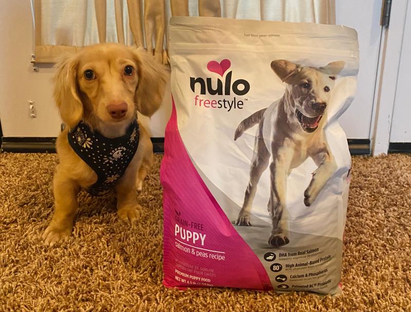 Nuvo dog food best sale