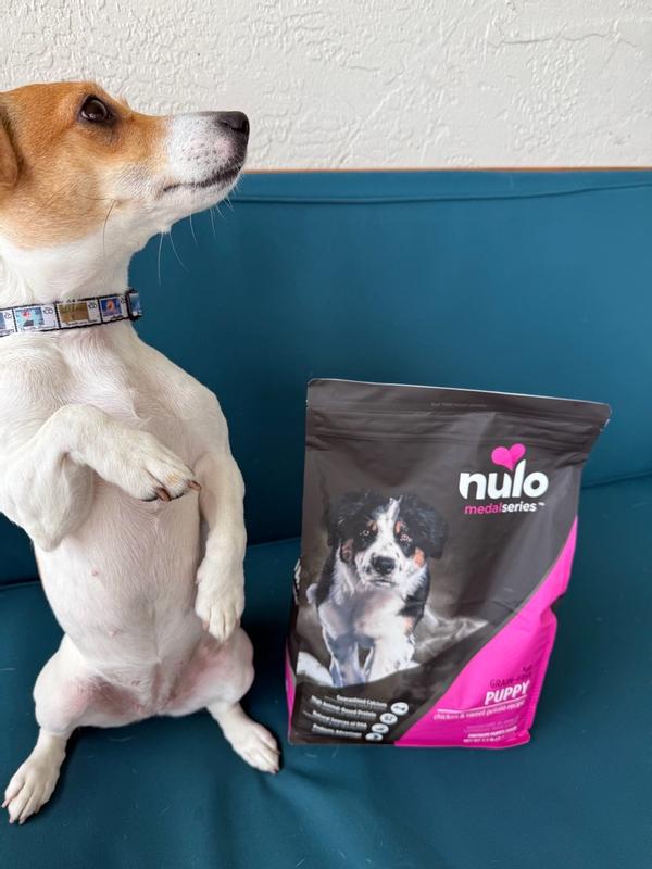 MedalSeries High-Protein Kibble For Puppies Chicken Sweet Potato