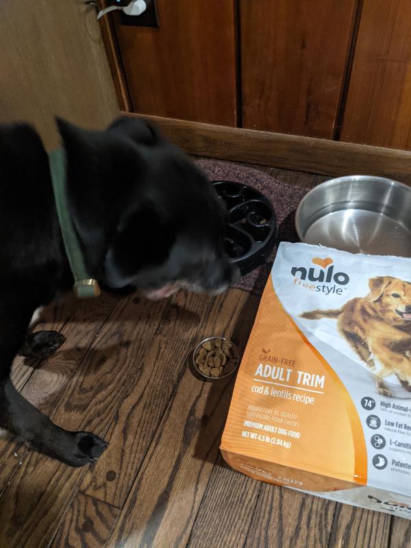 Nulo low best sale fat dog food