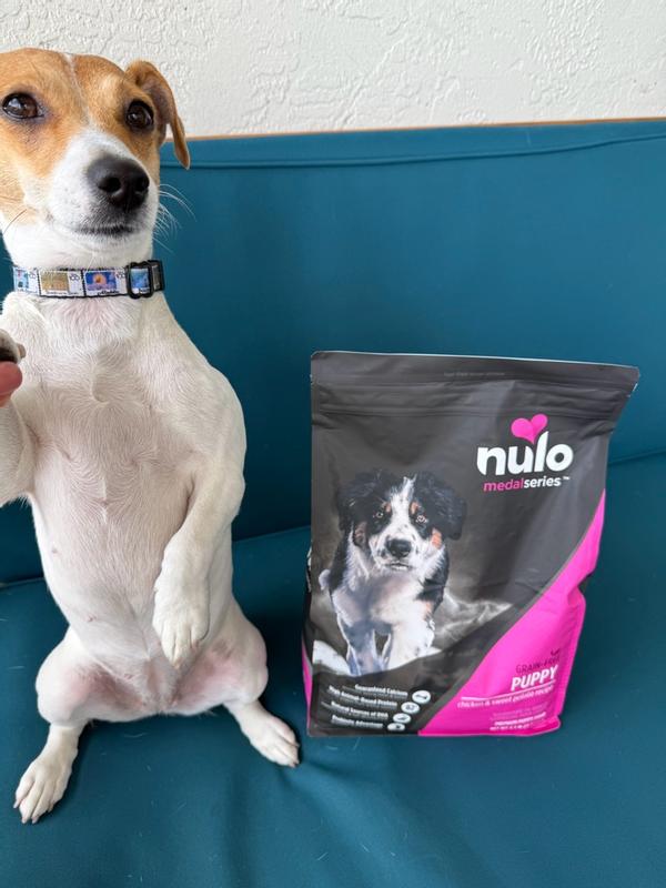 best price on wellness core dog food Wellness CORE High Protein Wholesome Grains Original Recipe Dry Dog Fo main image 0