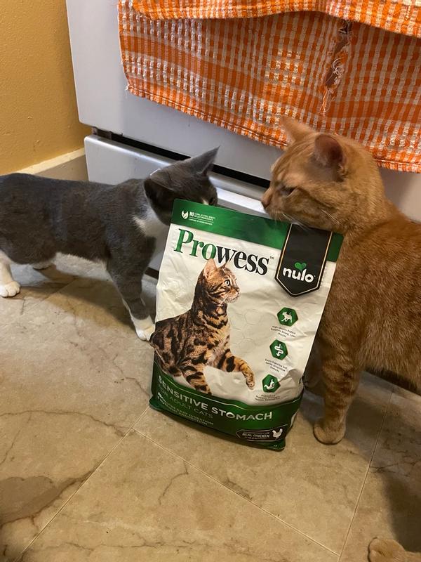 Nulo Prowess Sensitive Stomach for Adult Cats