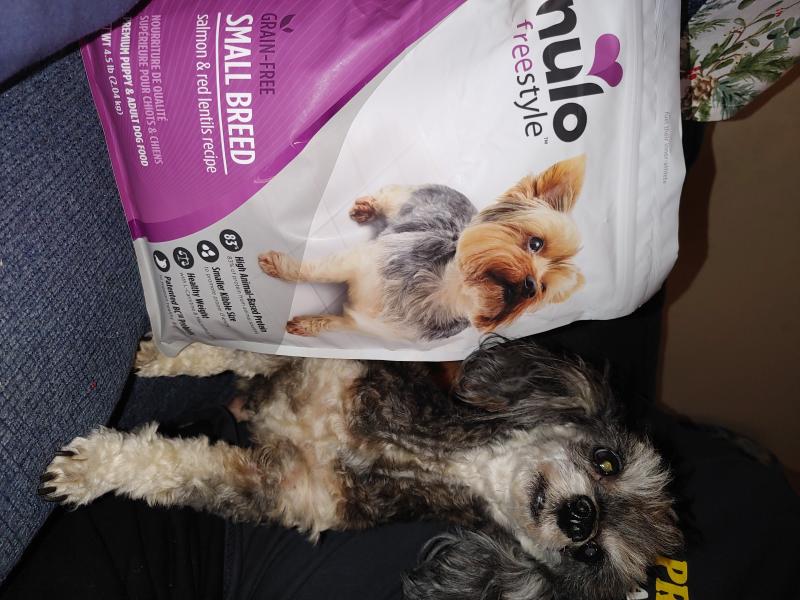 Nulo small outlet breed puppy food