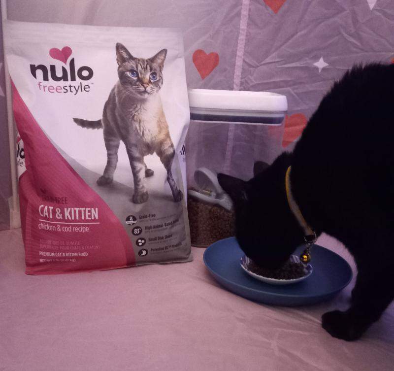 Nulo freestyle hotsell cat food reviews