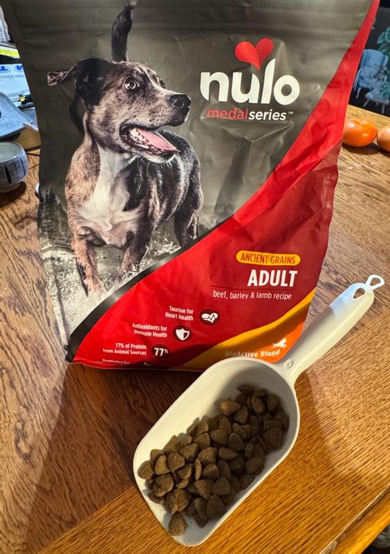 natural balance dog food near me Natural Balance Limited Ingredient Vegetarian Recipe Dry Dog Food -  Goodyear, AZ