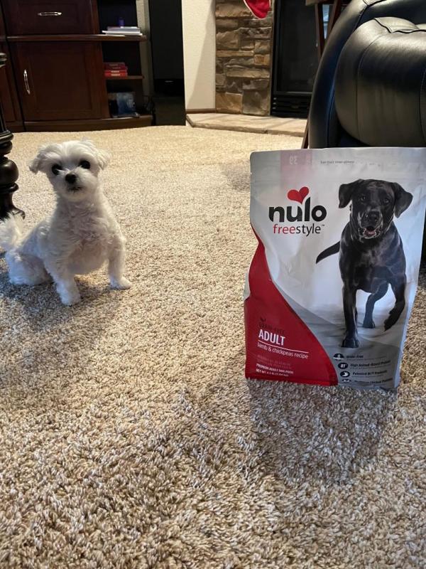 Nulo lamb 2024 dog food