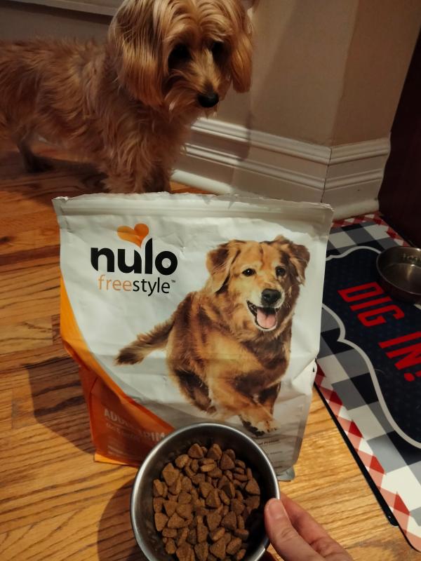 FreeStyle High Protein Kibble Trim Cod Lentils Recipe Nulo