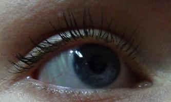 Closeup of Full Figured.