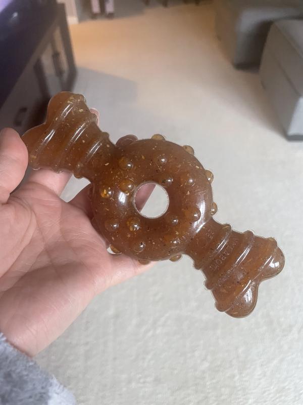 My dog’s new bone
