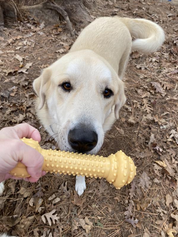 Barry testing it out