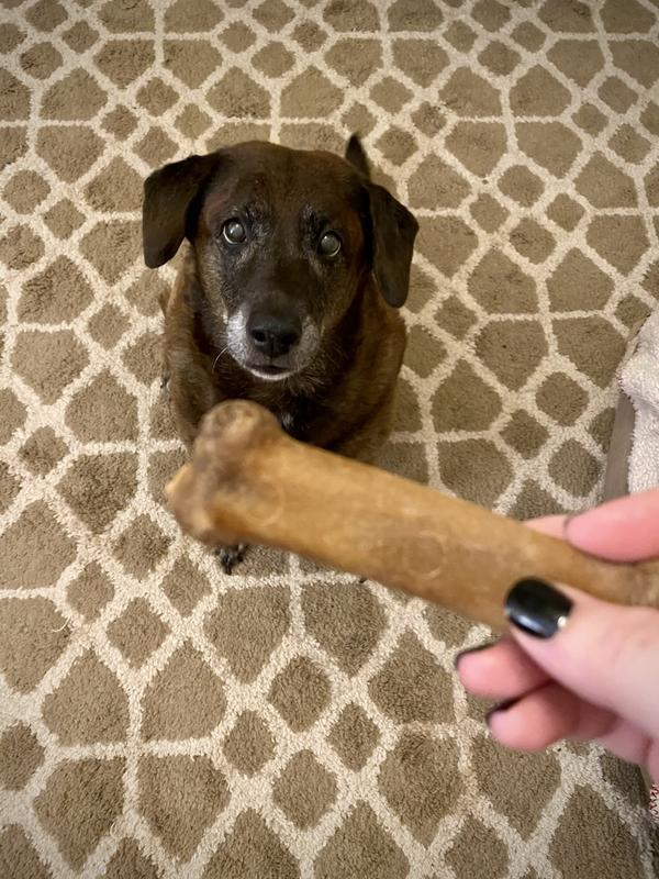 Roxy is ready for her treat!