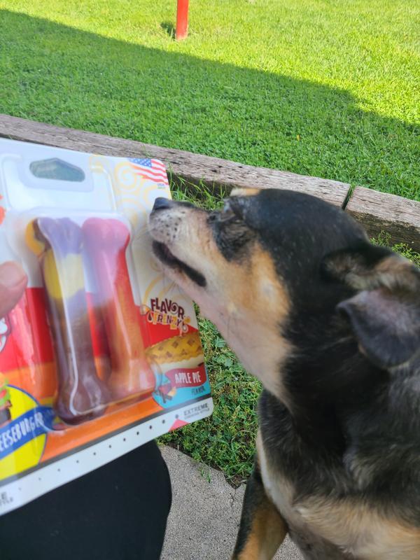 Excited pup!