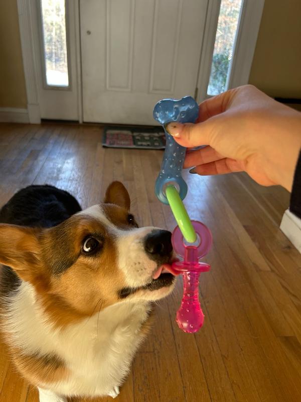 Photo - commentaire&nbsp;5.