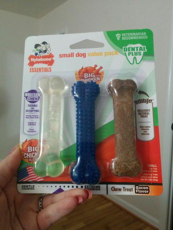 Nylabone small dog outlet value pack