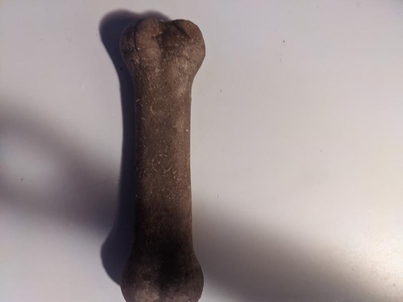 Nylabone