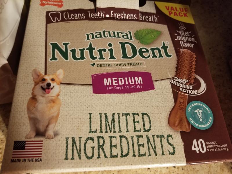 Nylabone Nutri Dent Filet Mignon Pet Supplies Plus