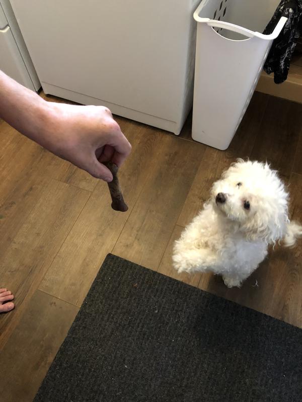 Loves treat