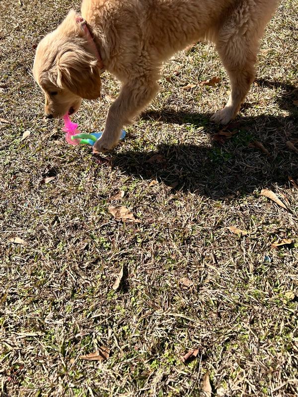 Photo - commentaire&nbsp;1.