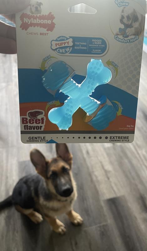 Puppy Chew
