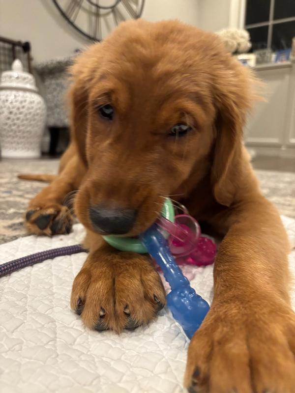 Photo - commentaire&nbsp;1.