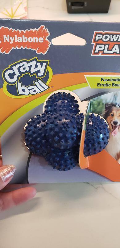 Nylabone Power Play Crazy Ball Dog Toy, Large