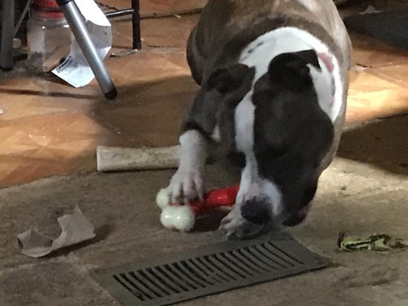 My new bone