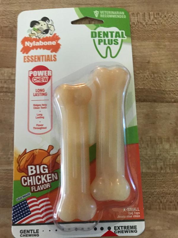 Are Nylabones Toxic For Dogs