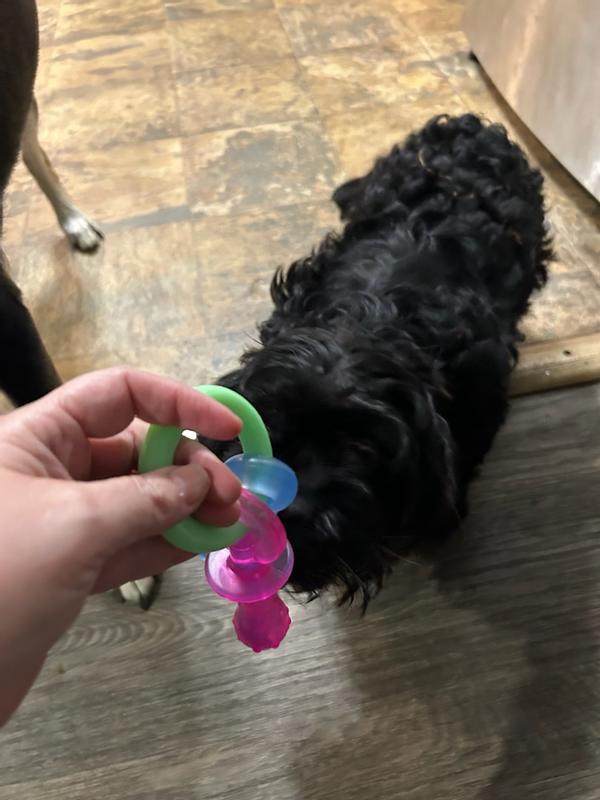 Photo - commentaire&nbsp;8.