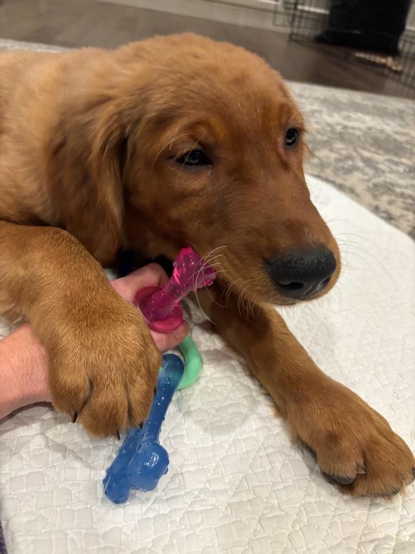 Photo - commentaire&nbsp;2.