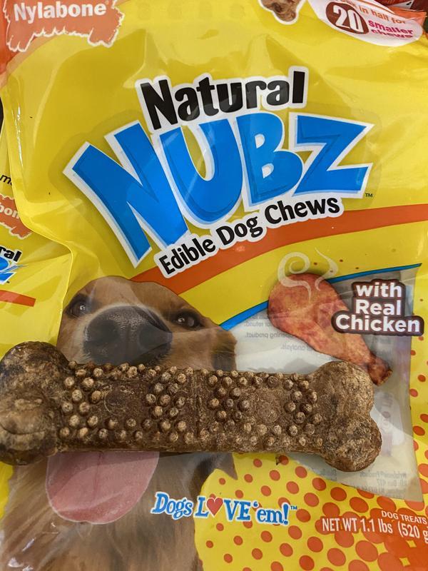 Are Nylabone Natural Nubz Edible Dog Chews Safe