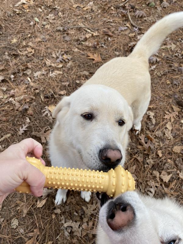 Chloe, Cammie and their new bone
