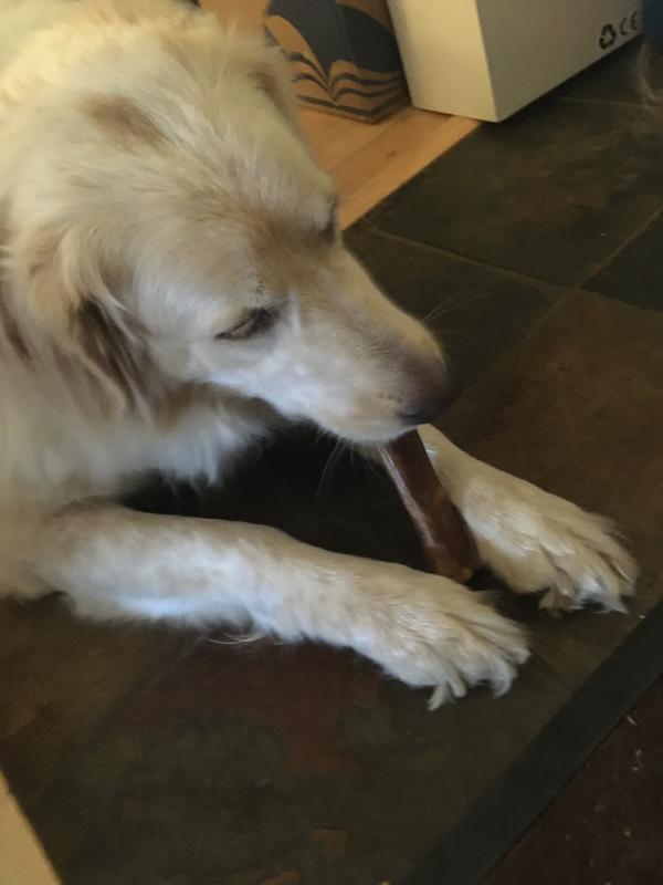 Nylabone Healthy Edibles Dog Treats