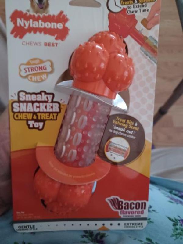 Nylabone Sneaky Snacker Dog Treat Toy - Glendale, AZ - El Mirage