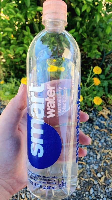 Water Bottle - iFLYSmart Midnight Berry