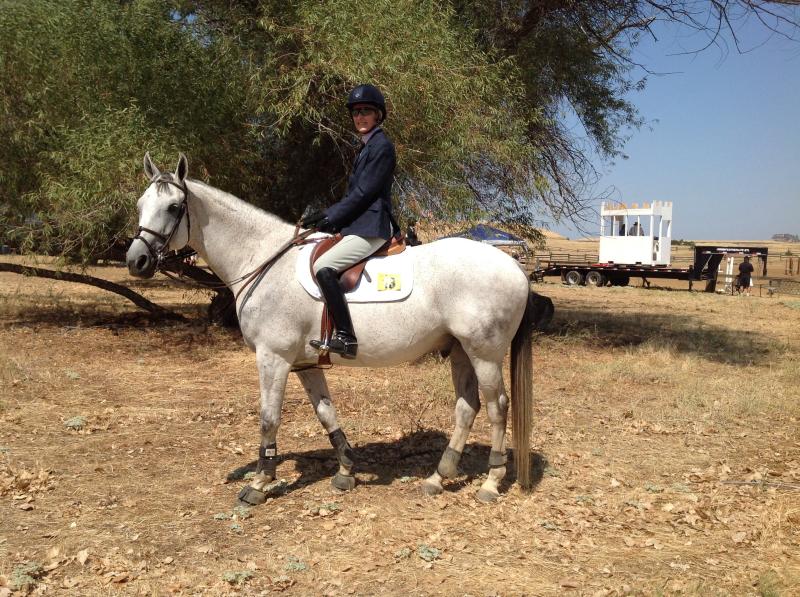 Carol Nelson and Clean Slate first, place Camelot Horse Trials, August 2014, intro