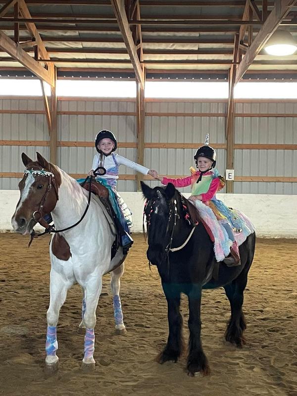 Our lesson horses who couldn’t be happier