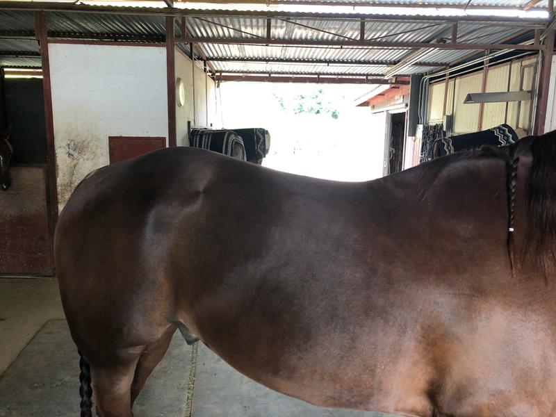 Building a wonderful top line!