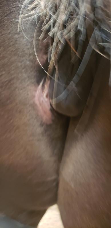 the sore from the blanket