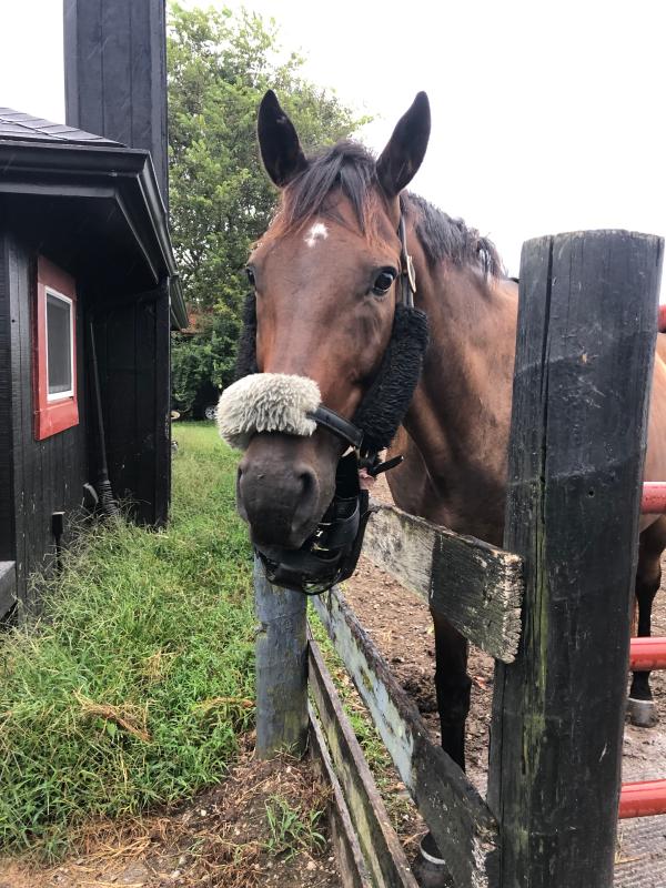 how i found vegas one morning before the modifications