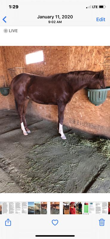 Nikki — Food is my favorite subject!