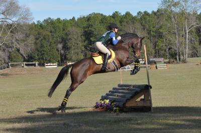 Dreamin Big and me at our first BN Horse Trial!