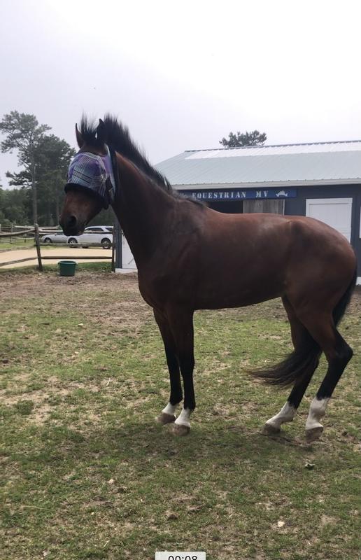 Excited for yet another new mask!