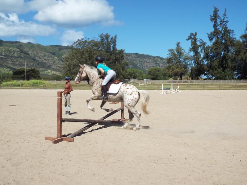 Jumping with the pellets