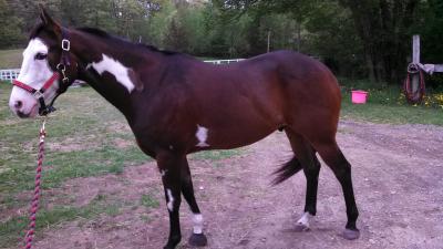 Splash - May 11, 2013