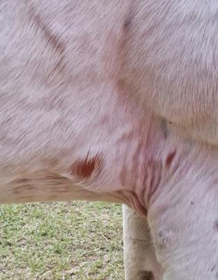 so sad, my poor girl